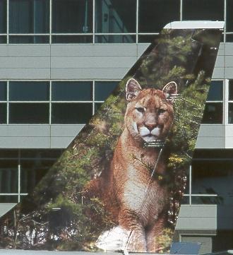 N234TR Tail left side