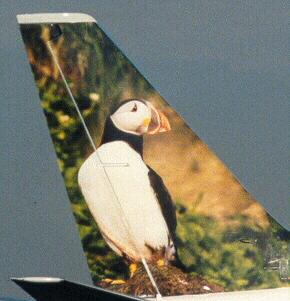 N309FL tail right side