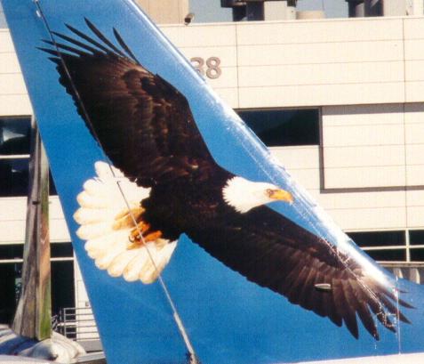 N310FL tail right side