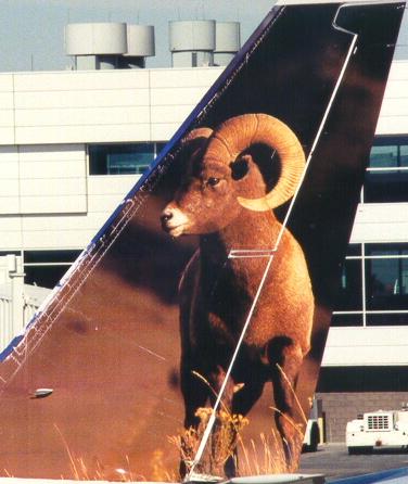 N312FL tail left side