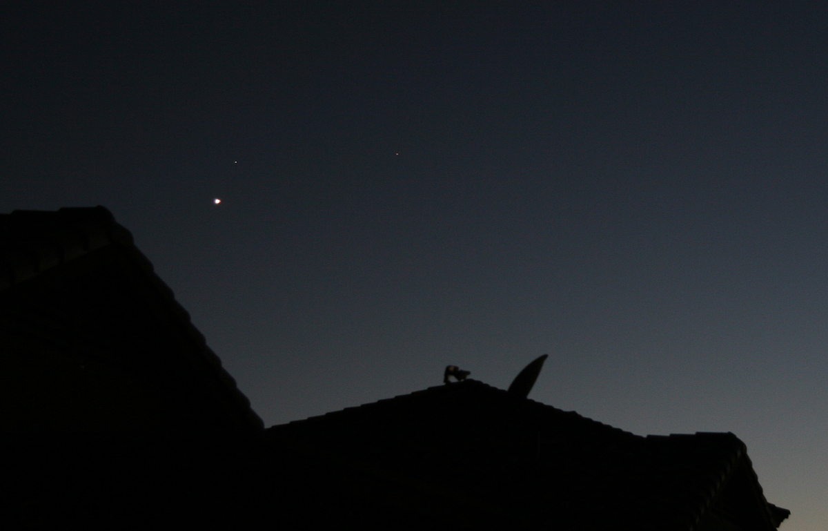 [Spica / Venus Conjunction and Mars on 31 August 2010]